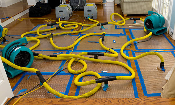 Professional Basement Flood Cleanup technician working in Port Richey, FL